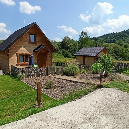 Dolina Rosy Villa Ustrzyki Dolne Exterior photo